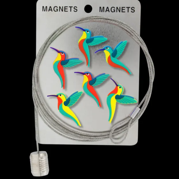 Cable porte photos et magnets - Magnetic Cable