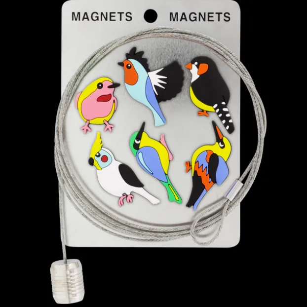 Cable porte photos et magnets - Magnetic Cable