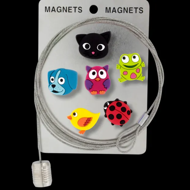 Cable porte photos et magnets - Magnetic Cable