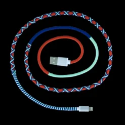 Cable pour iPhone - Salsa