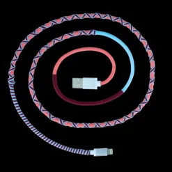 Cable pour iPhone - Salsa