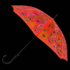 Parapluie - Rainbeau