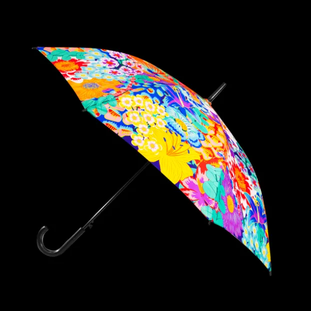 Parapluie - Rainbeau