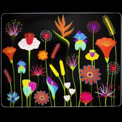 Planche en verre - Commy