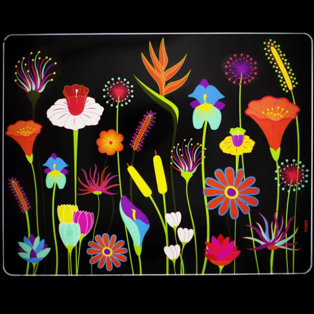 Planche en verre - Commy