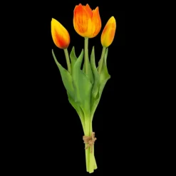 Set de 3 petites tulipes fermees - Tulipes