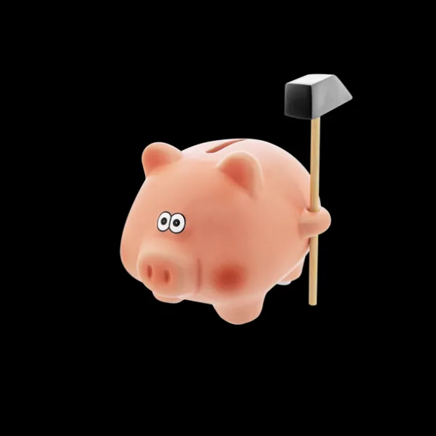 Tirelire Cochon - Cochonnet